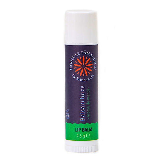Balsam de buze cu aroma de Mentă