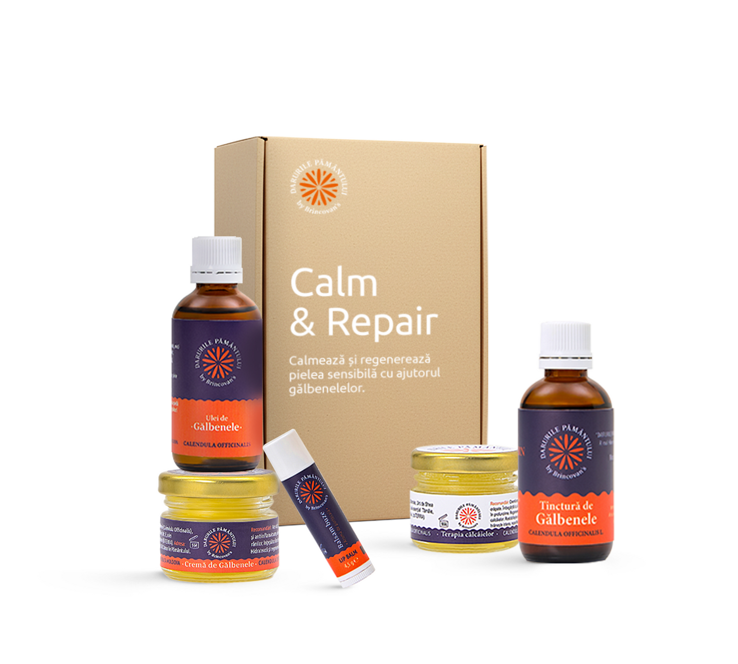 Set Calm & Repair